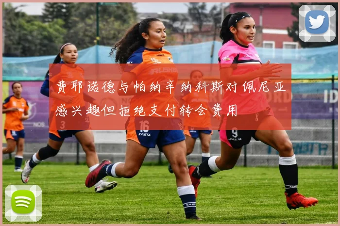 费耶诺德与帕纳辛纳科斯对佩尼亚感兴趣但拒绝支付转会费用