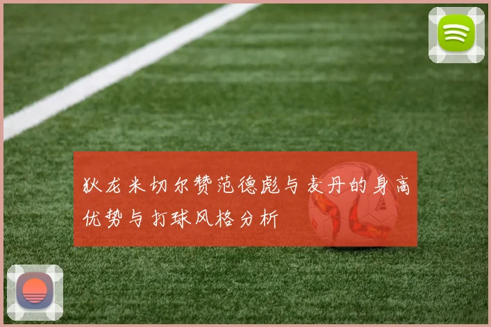 狄龙米切尔赞范德彪与麦丹的身高优势与打球风格分析